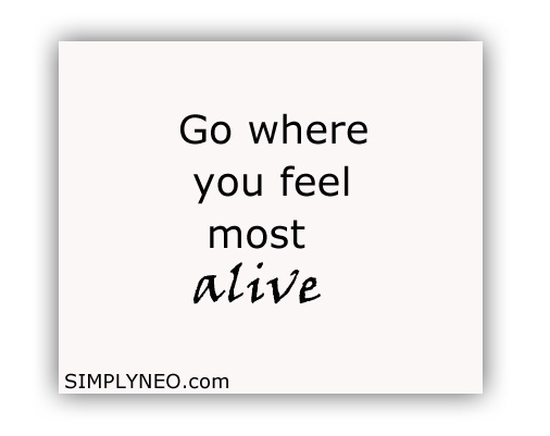 Go where you feel most alive