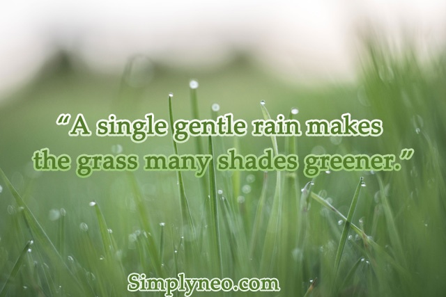 A single gentle rain makes the grass many shades greener.