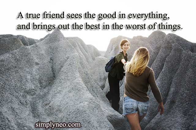 A true friend sees the good in everything, and brings out the best in the worst of things. – Sasha Azevedo 