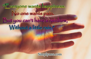 Everyone wants happiness. No one wants pain. But you can’t have a rainbow, without a little rain.