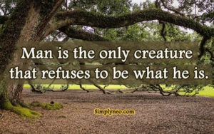 Man is the only creature that refuses to be what he is.~ Albert Camus