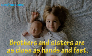 Brothers and sisters are as close as hands and feet. – Vietnamese Proverb