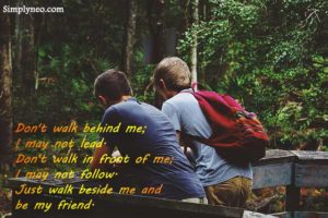 Don't walk behind me; I may not lead. Don't walk in front of me; I may not follow. Just walk beside me and be my friend.