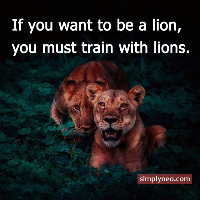 “If you want to be a lion, you must train with lions.” ~Carlson Gracie Inspirational life quotes, motivational quotes, life quotes