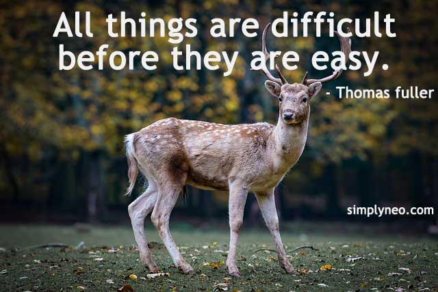 All things are difficult before they are easy. - Thomas fuller