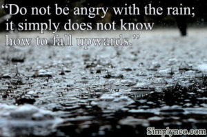 Do not be angry with the rain; it simply...| Vladimir Nabokov