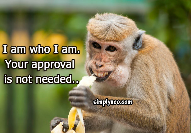 I am who I am. Your approval is not needed..